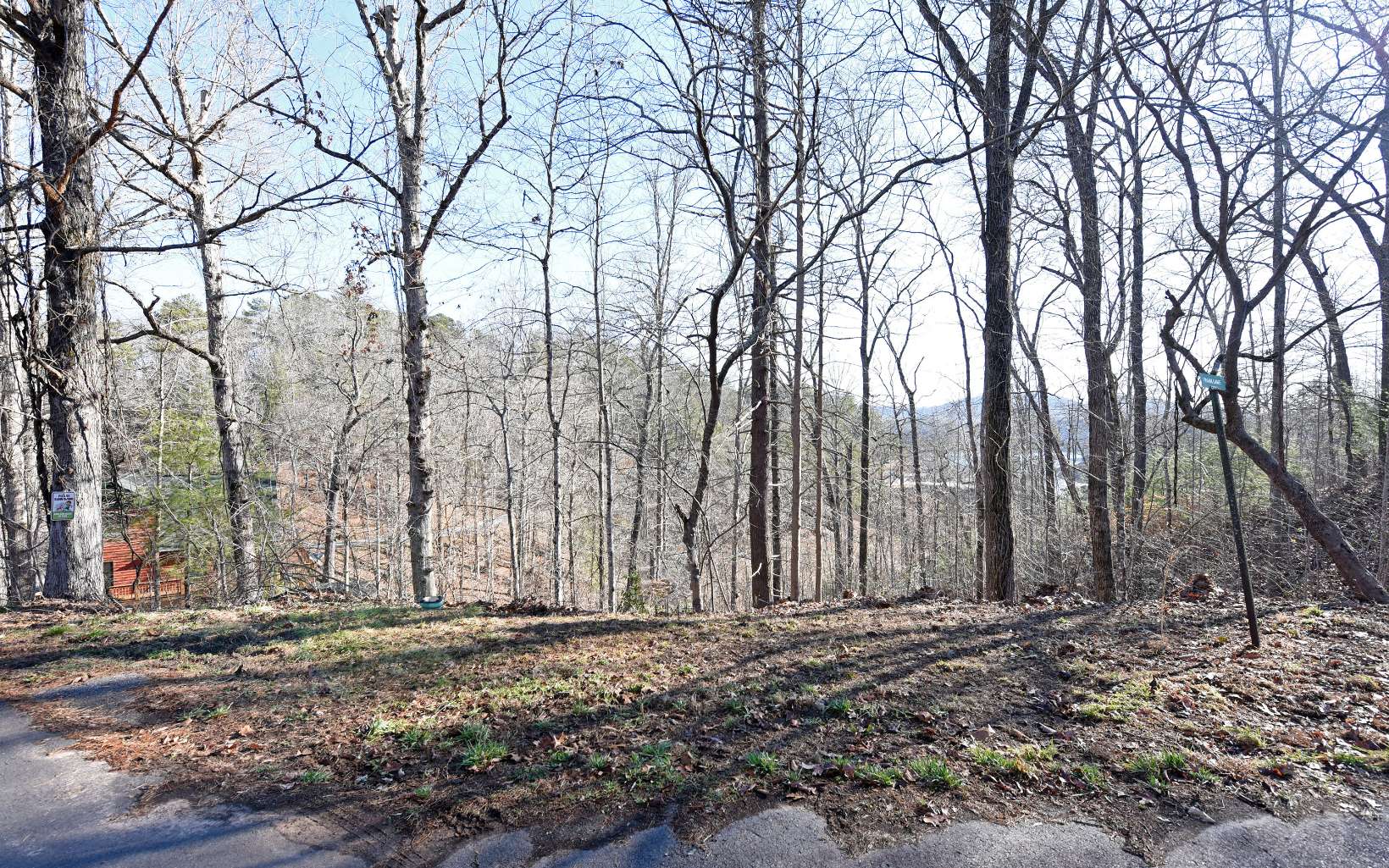 Listing view 3