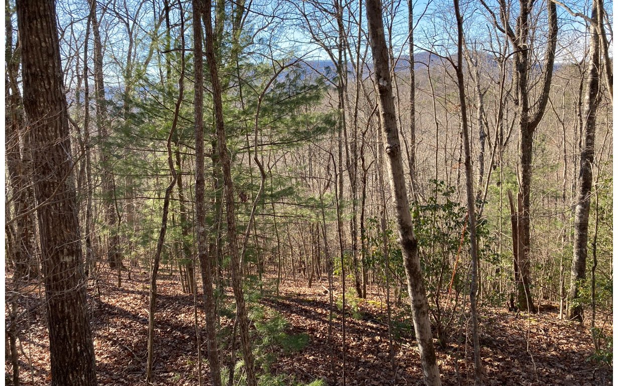 Listing view 3