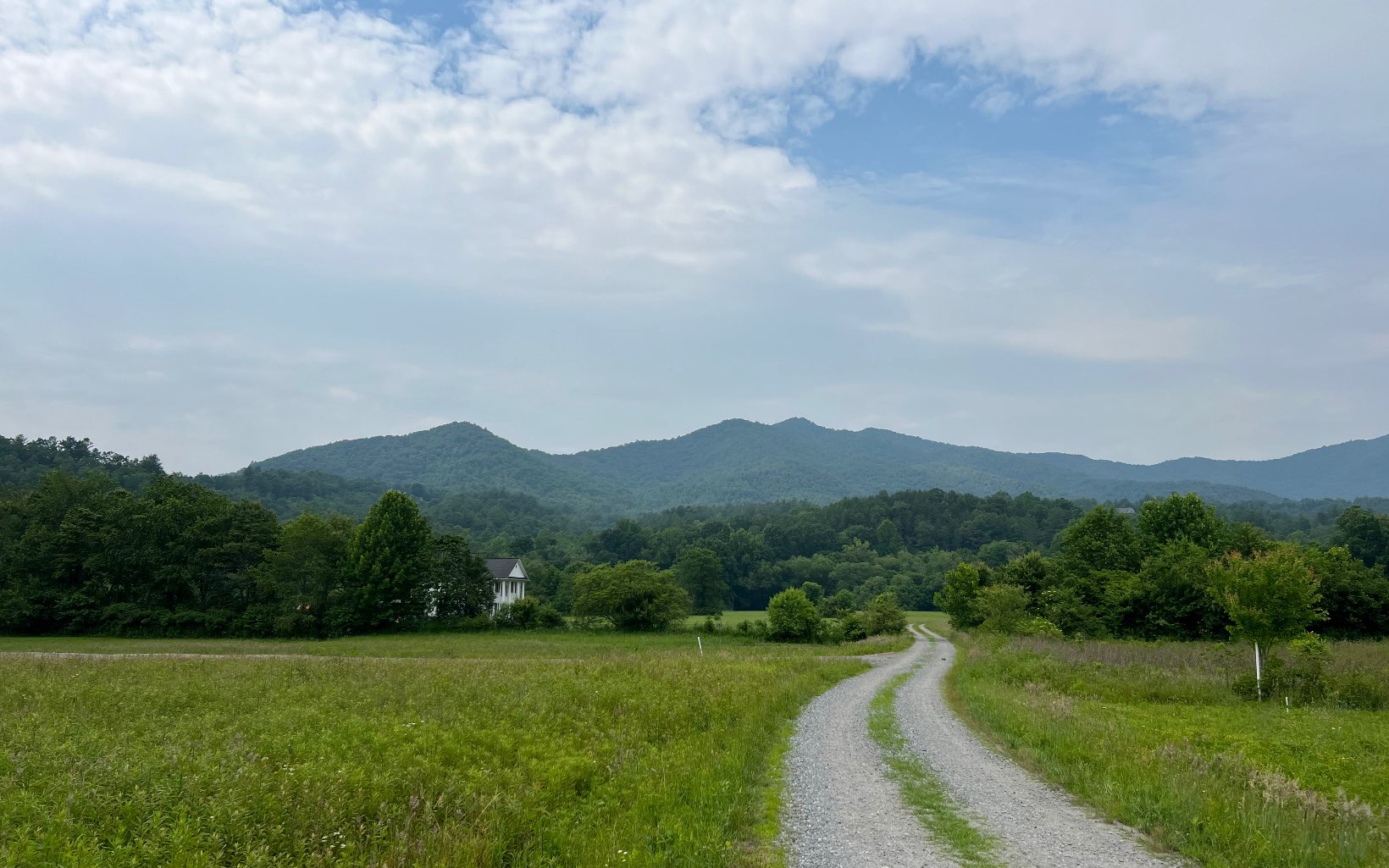 Property view