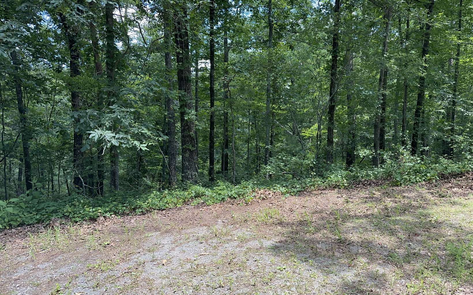 Listing view 3