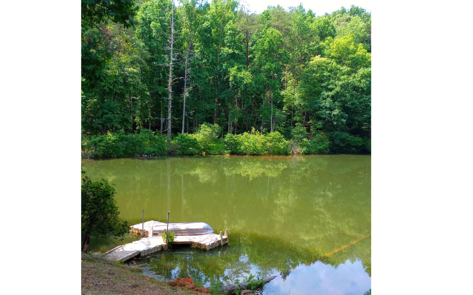 Listing view 3