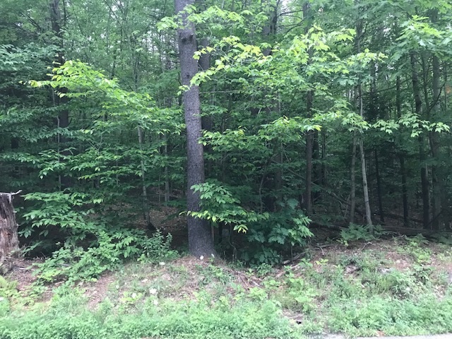 Listing view 3
