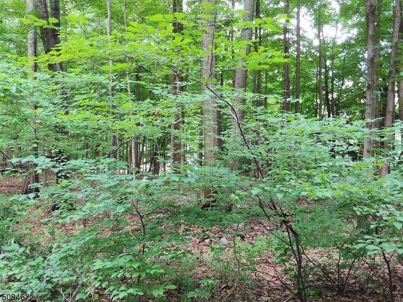 Listing view 3