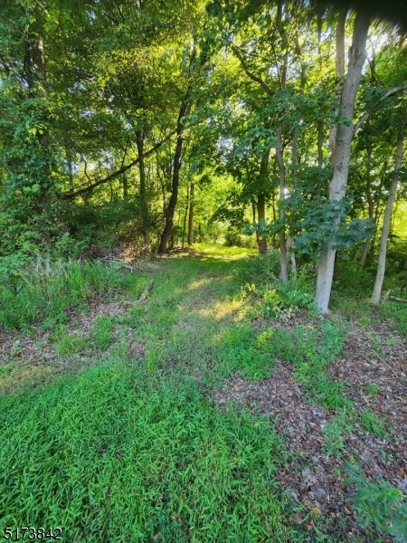 Listing view 2