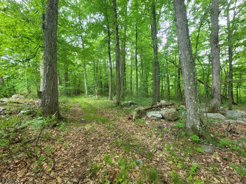 Listing view 3