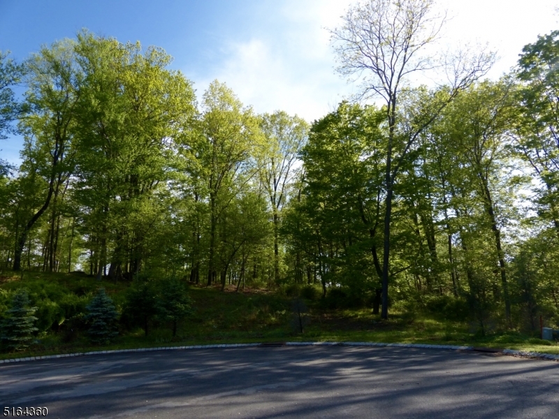 Listing view 2
