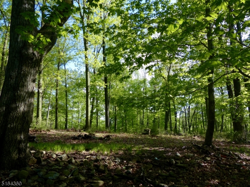 Listing view 3