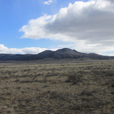 Listing view 2