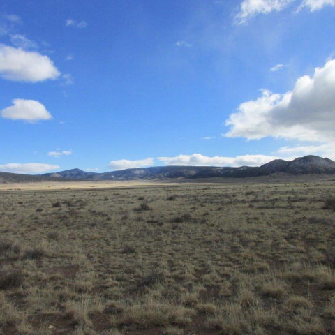 Listing view 3