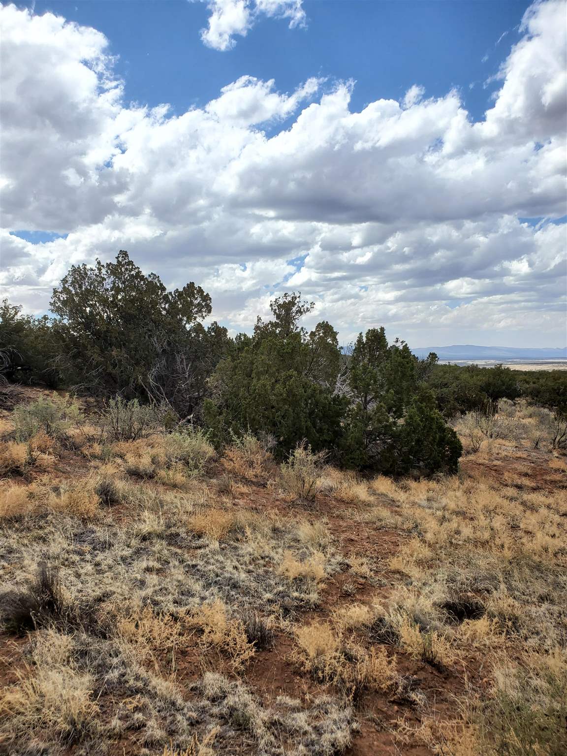 3441 Jumano, Mountainair, NM 87036 MLS 202102090 Coldwell Banker