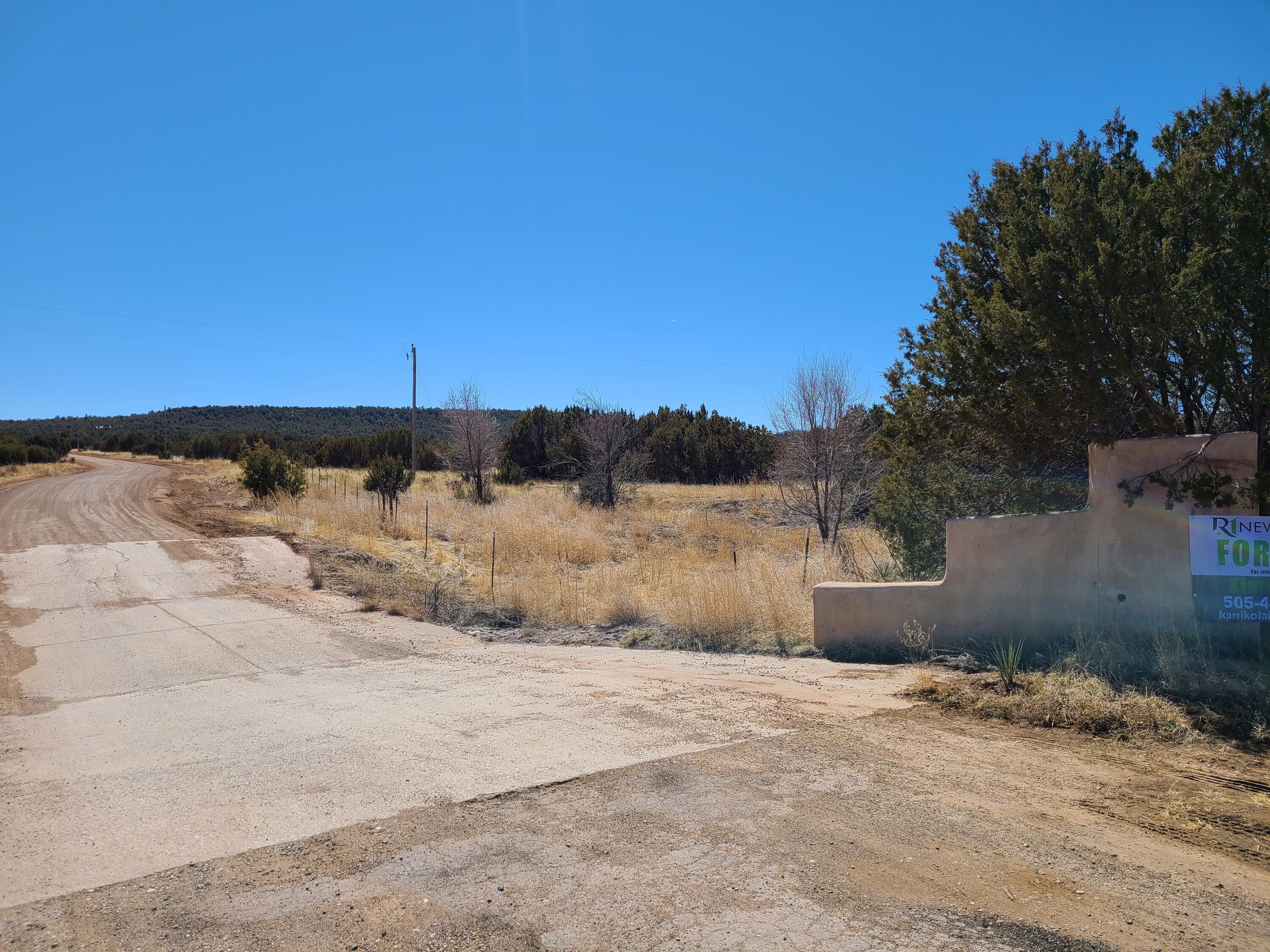 Listing view 3