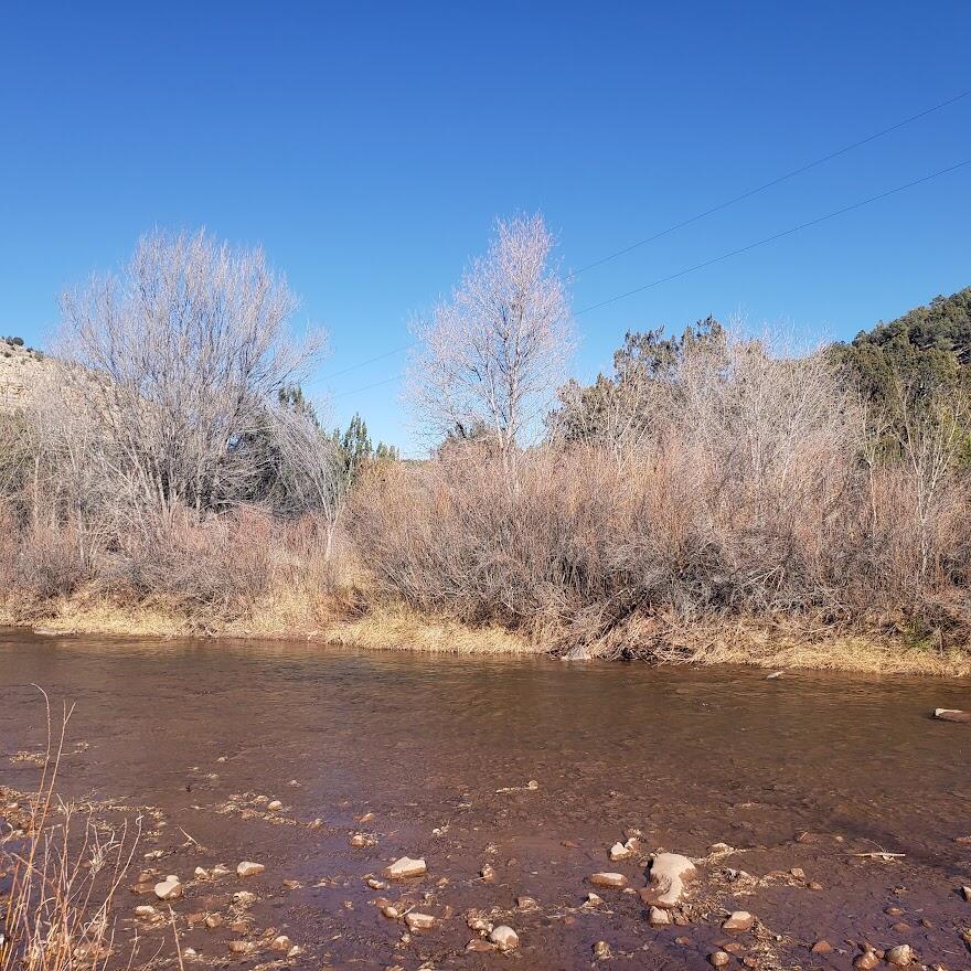 Listing view 3