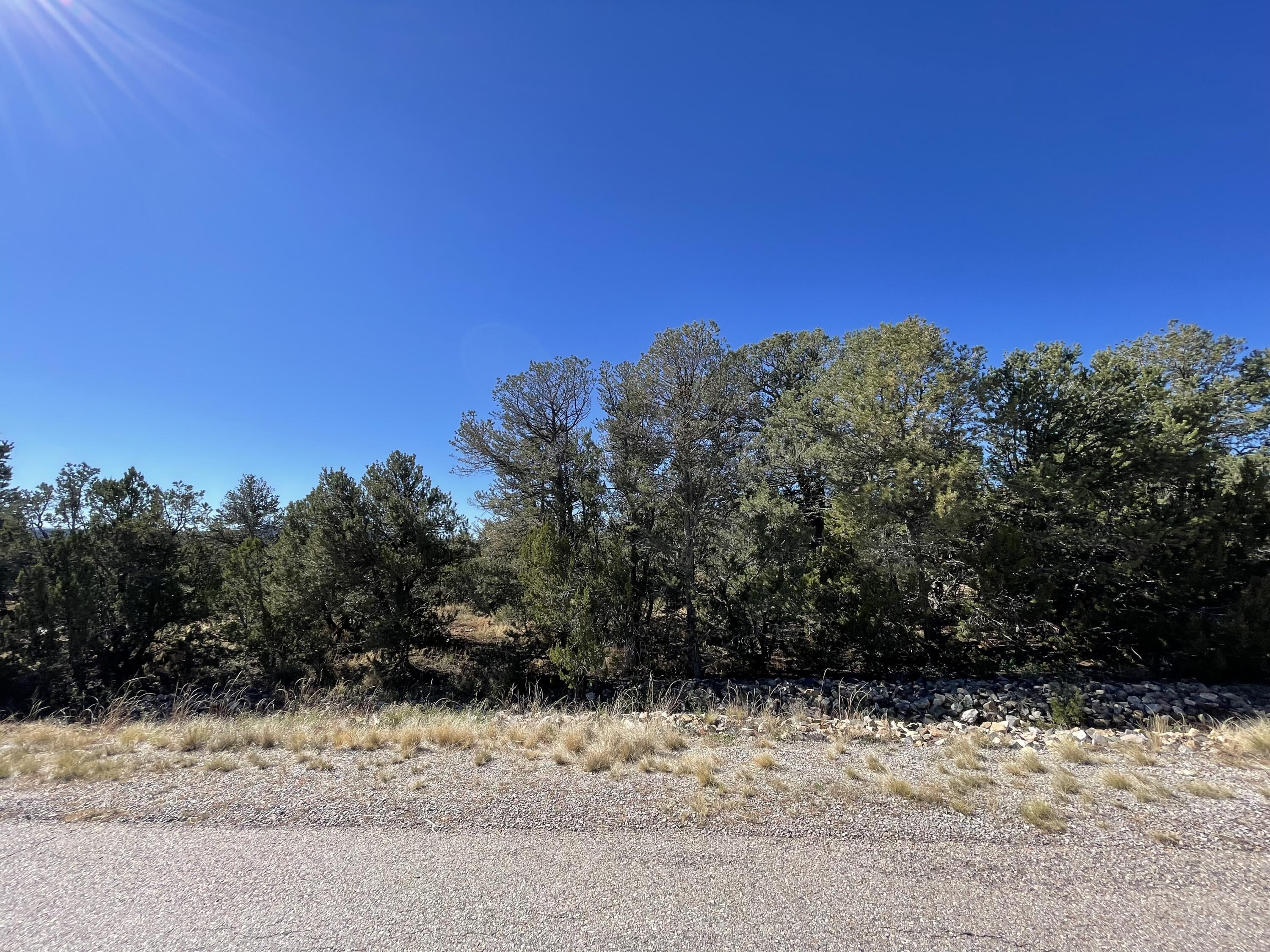 19 Chaco Loop Sandia Park NM 87047 MLS 1025169 Coldwell Banker