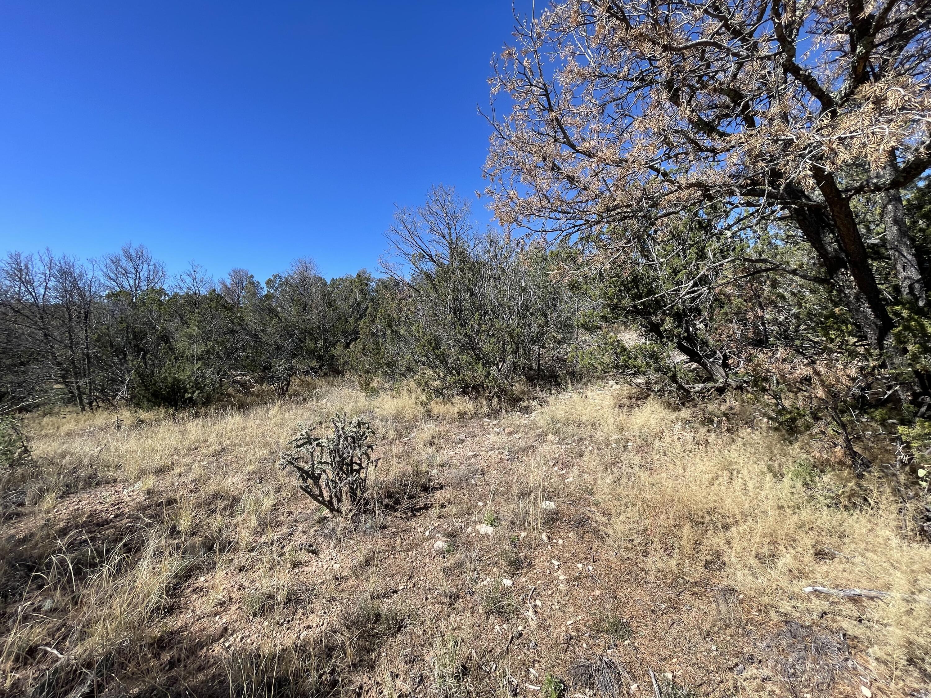 19 Chaco Loop Sandia Park NM 87047 MLS 1025169 Coldwell Banker