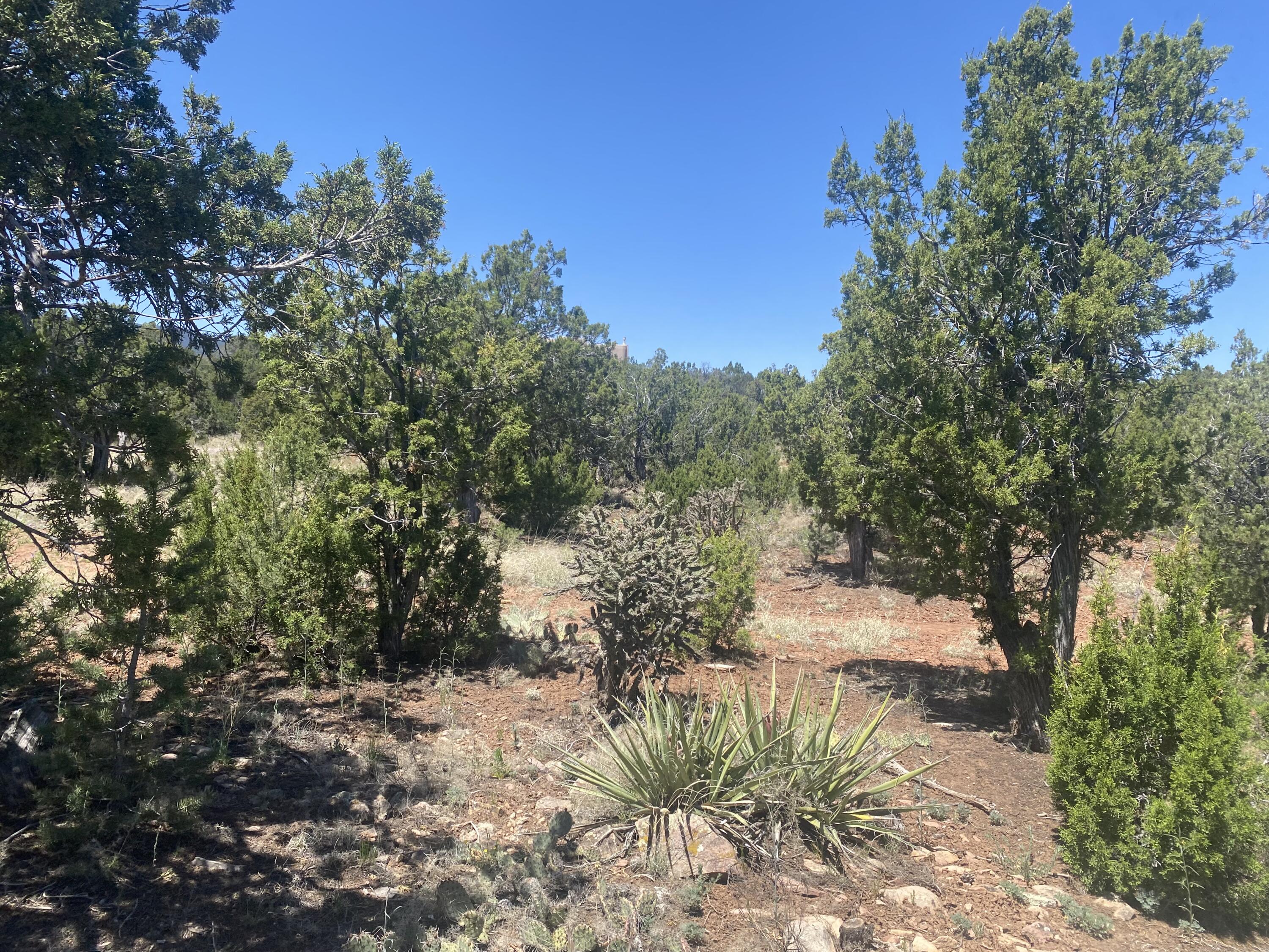 23 Chaco Loop Sandia Park NM 87047 MLS 1034236 Coldwell Banker