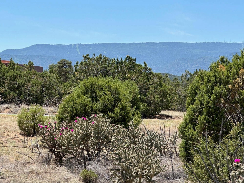 29 Via Entrada, Sandia Park, NM 87047 MLS 1065231 Coldwell Banker