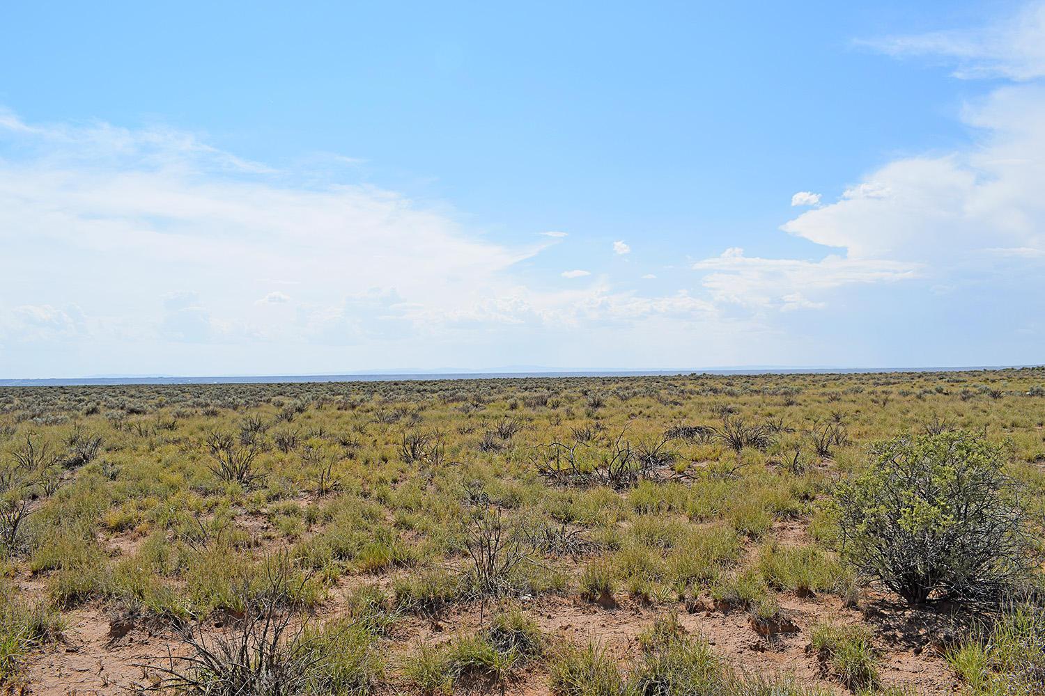 Listing view 3