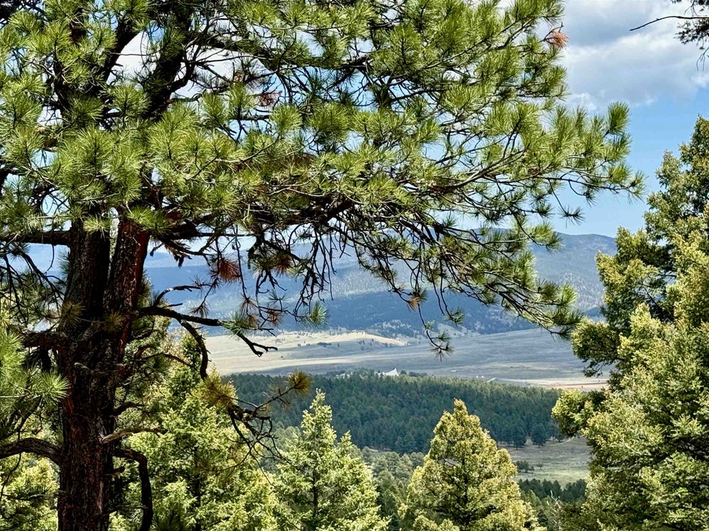 Lot 66 Taos Pines Ranch Road, Angel Fire, NM 87710 - MLS# 113384 ...