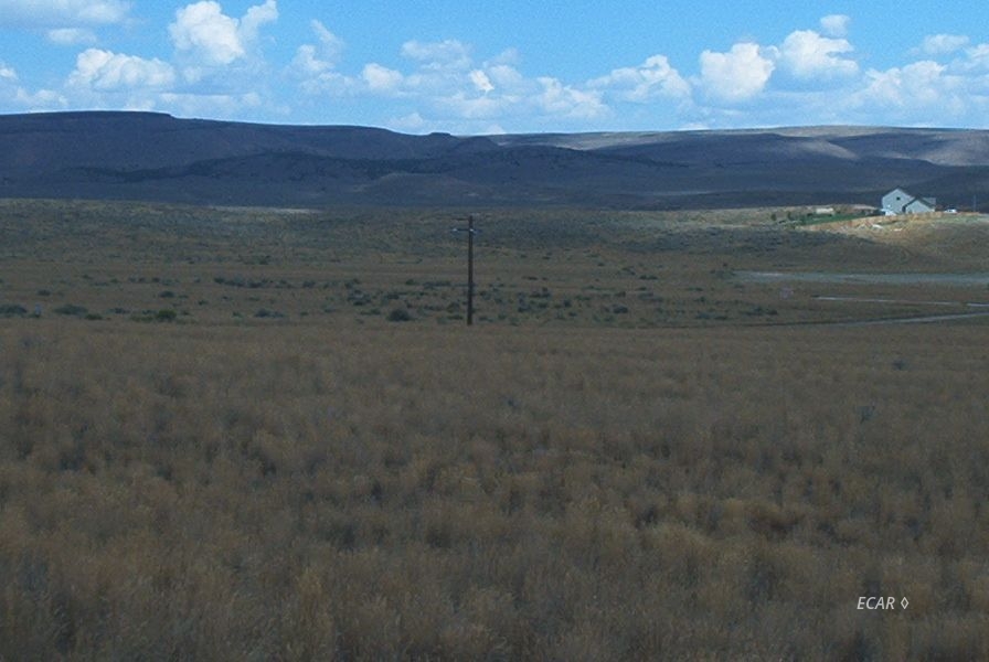 Listing view 2