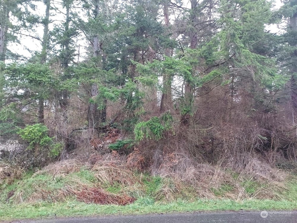 0 Hemenway Place, Oak Harbor, WA 98277 MLS 2193315 Coldwell Banker