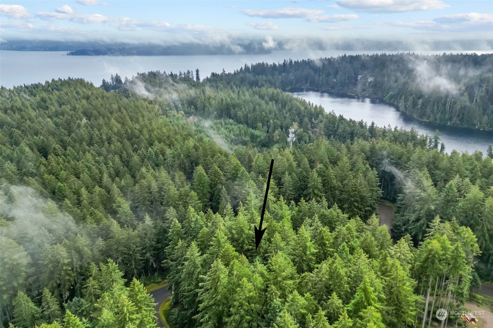 11025 Admiralty Way #Riv Lot 209, Anderson Island, WA 98303 - MLS 