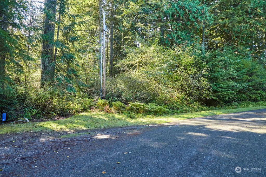 11114 106th Street #LOT 184, Anderson Island, WA 98303 - MLS 