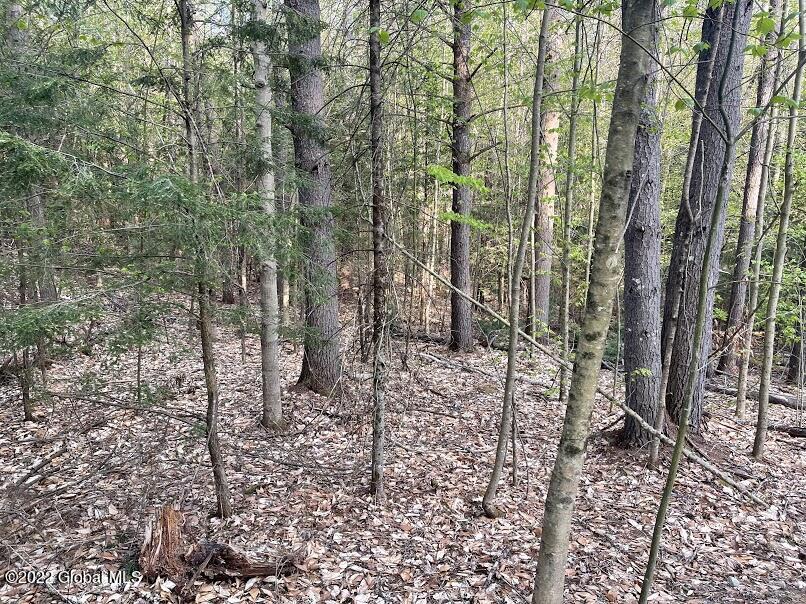 L26 1 Jones Rd  