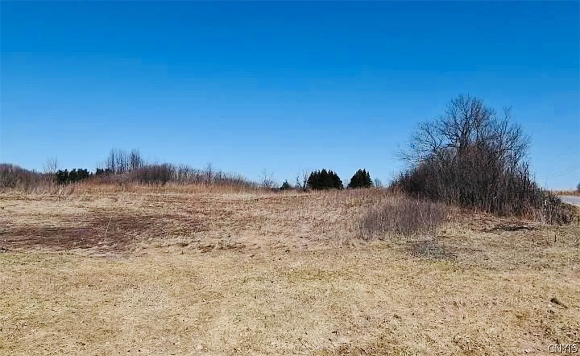 Listing view 2