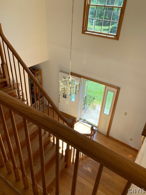 Listing view 3