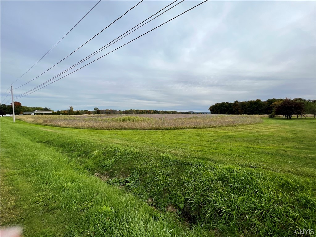 Listing view 2