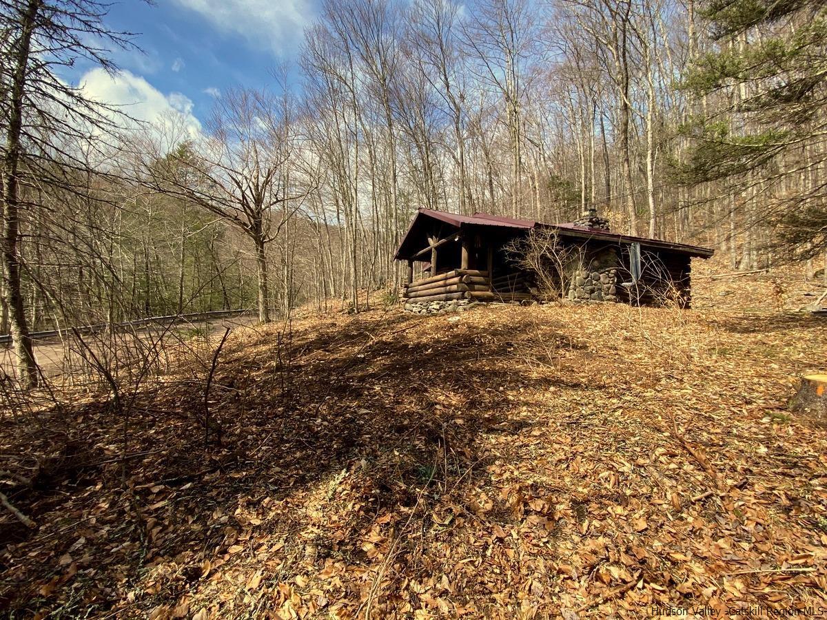 62 Muddy Brook, Phoenicia, NY 12464 MLS 20230764 Coldwell Banker