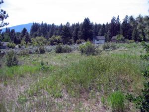 Listing view 2