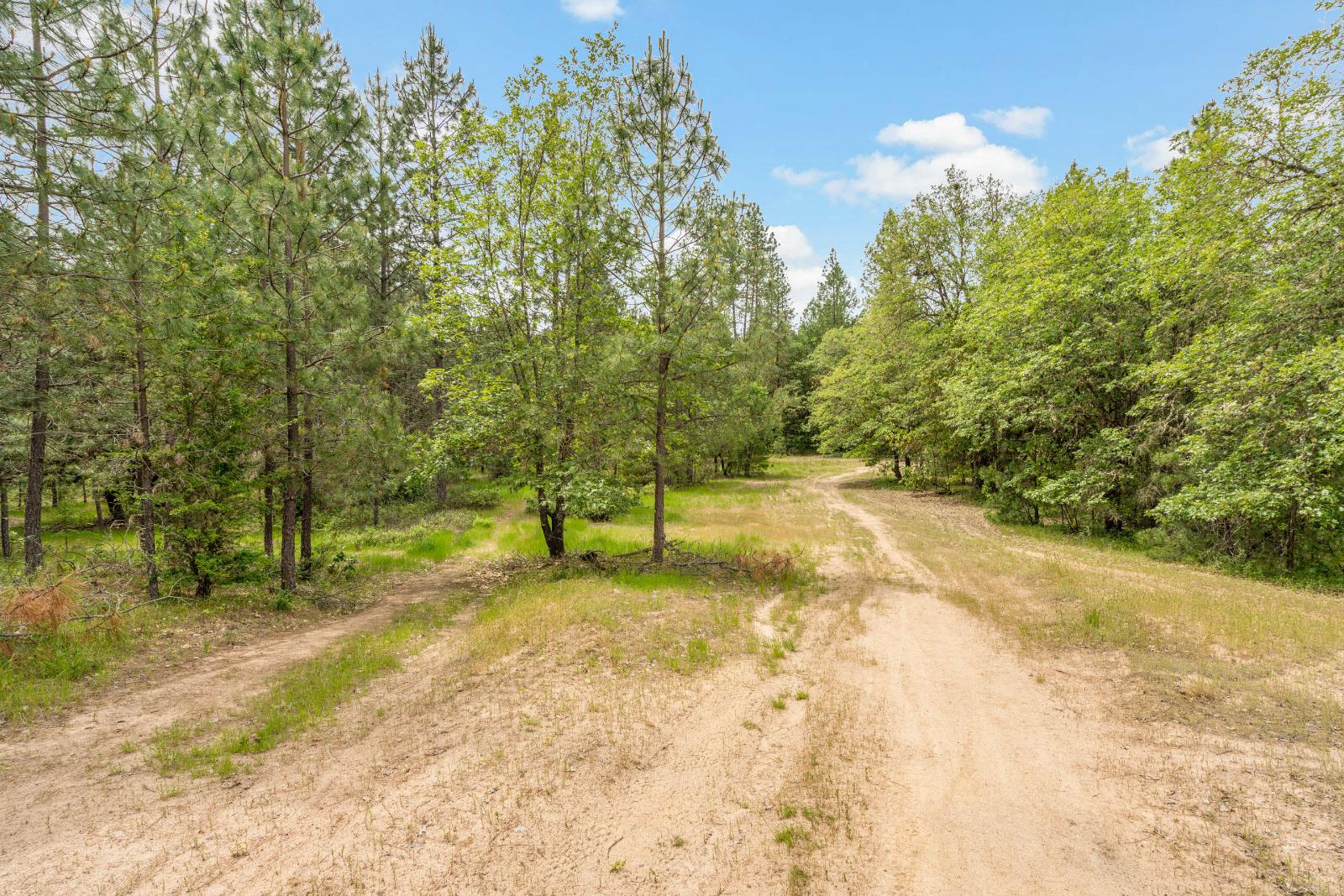 Listing view 3