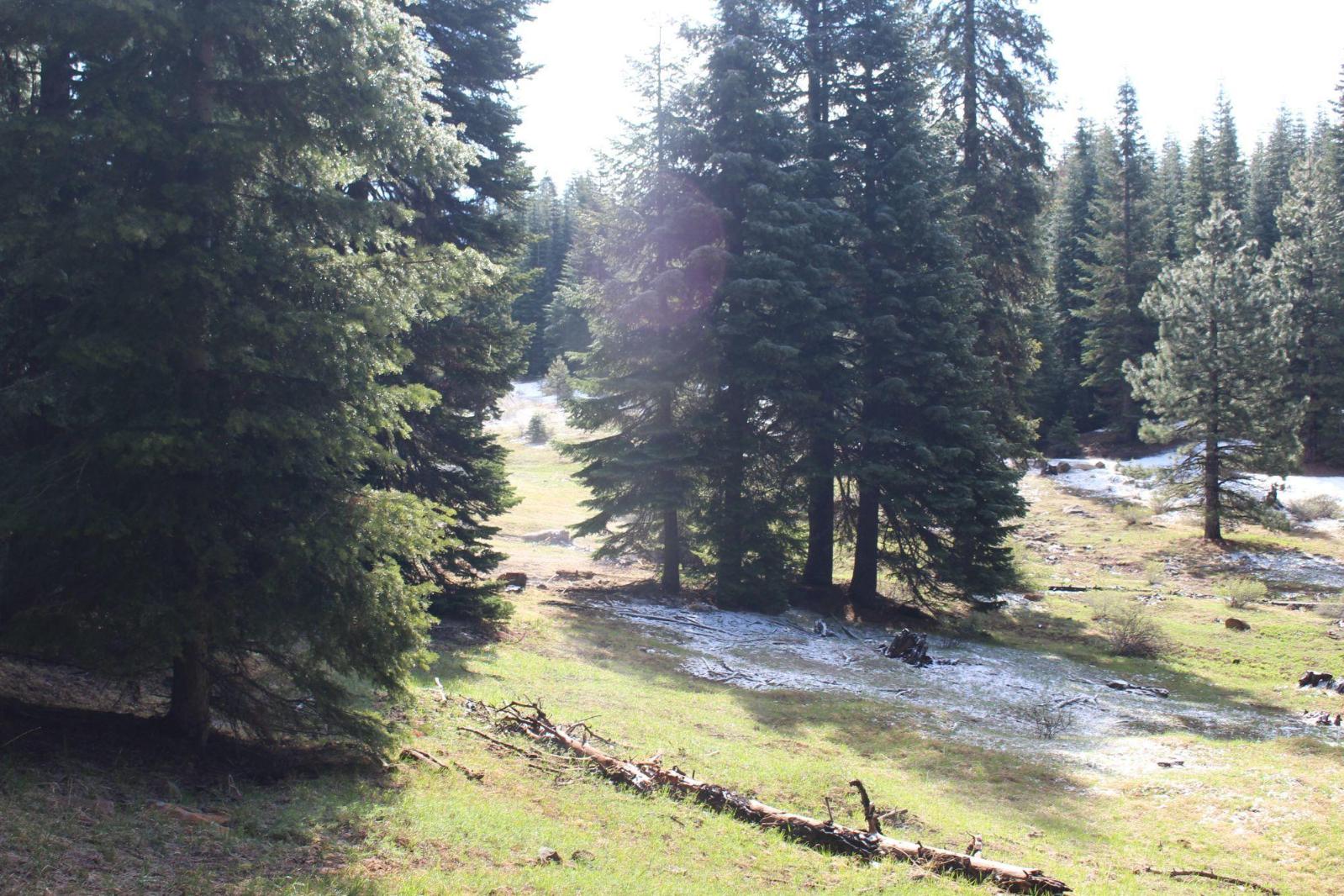 Listing view 2