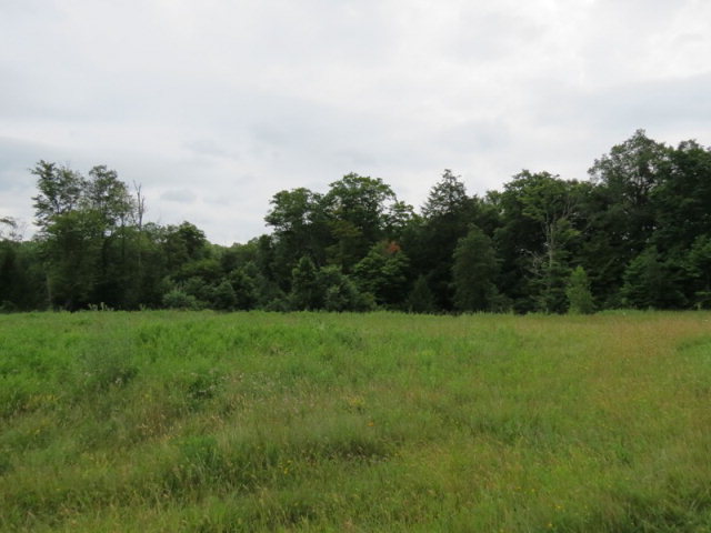 Listing view 2