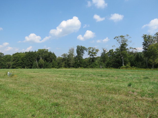 Listing view 3