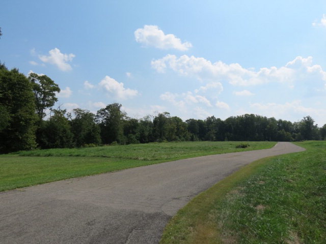 Listing view 2