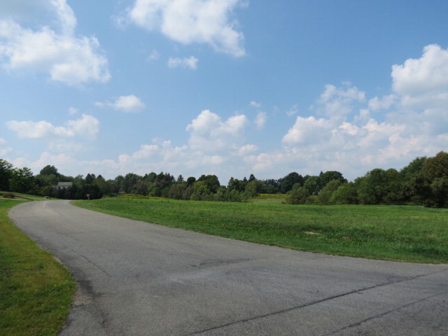 Listing view 3