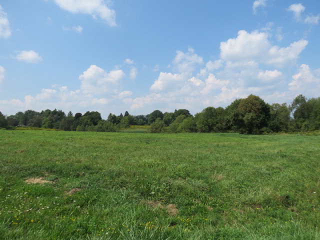 Listing view 2