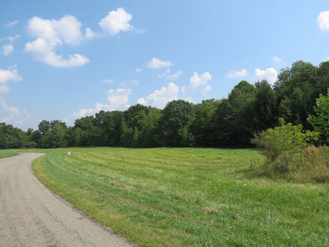 Listing view 3