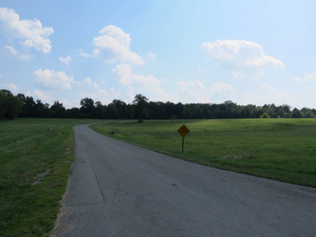 Listing view 3