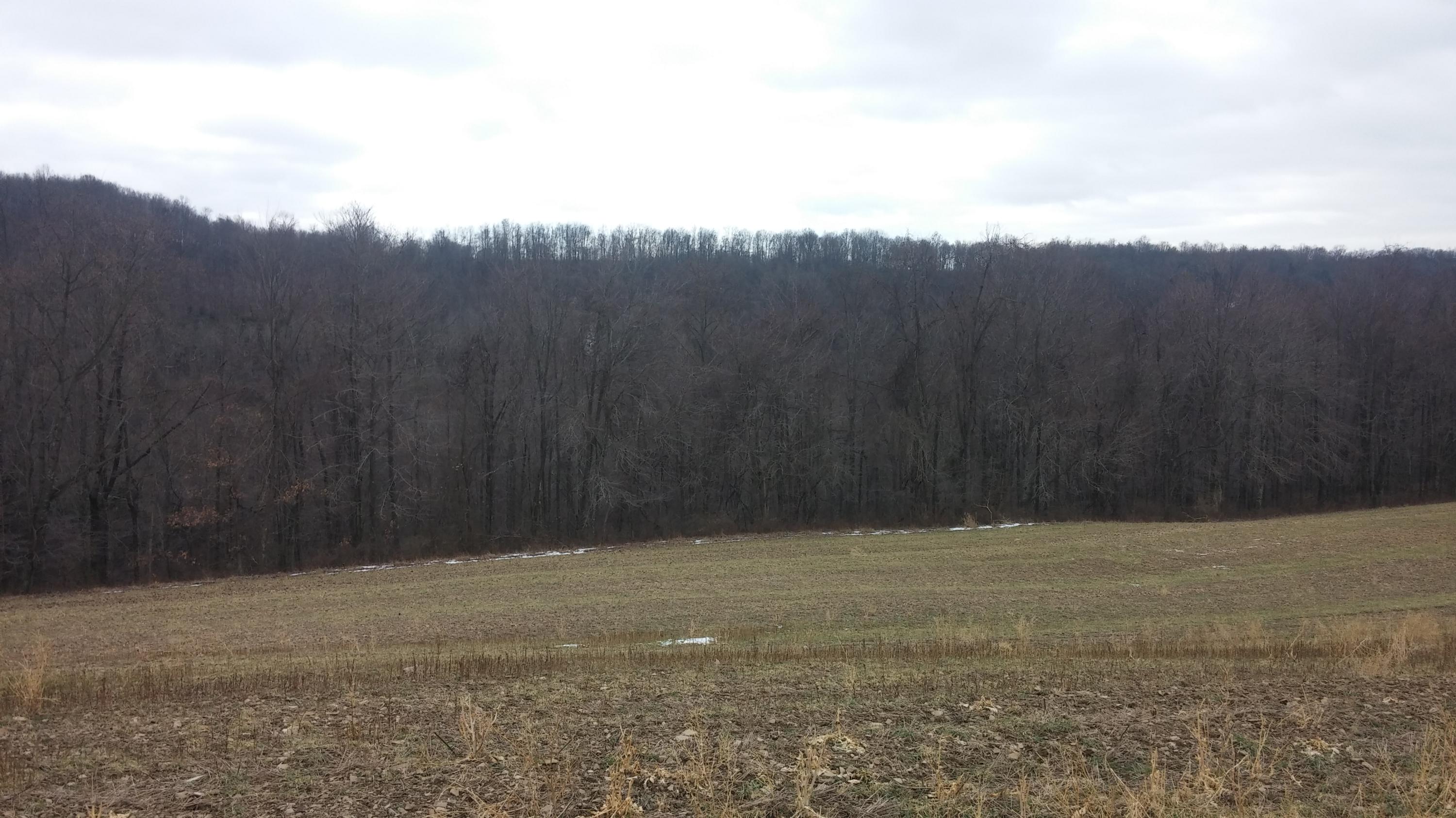 Listing view 3