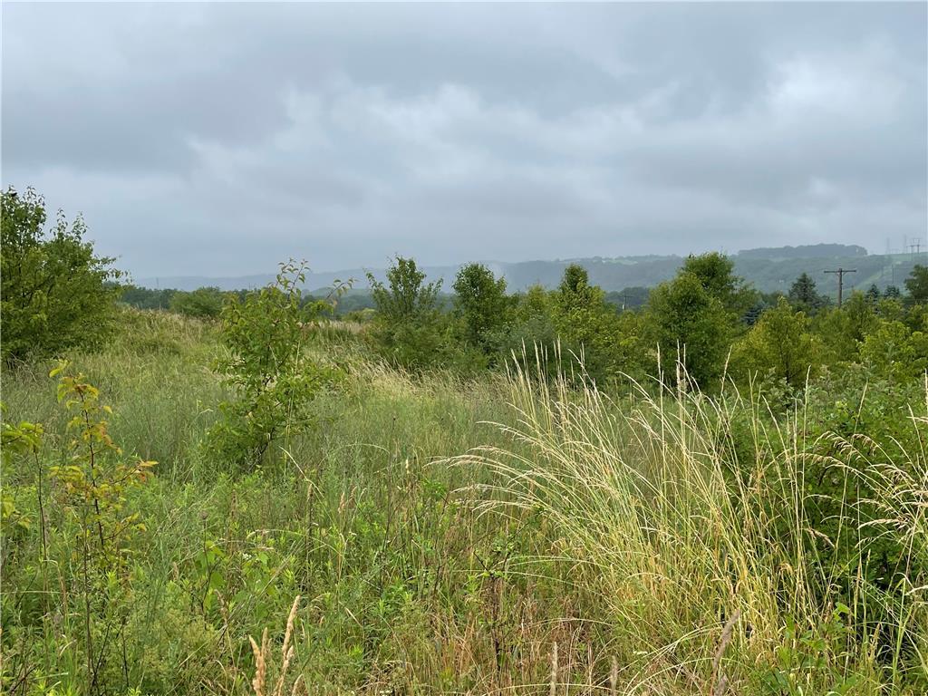 Listing view 2