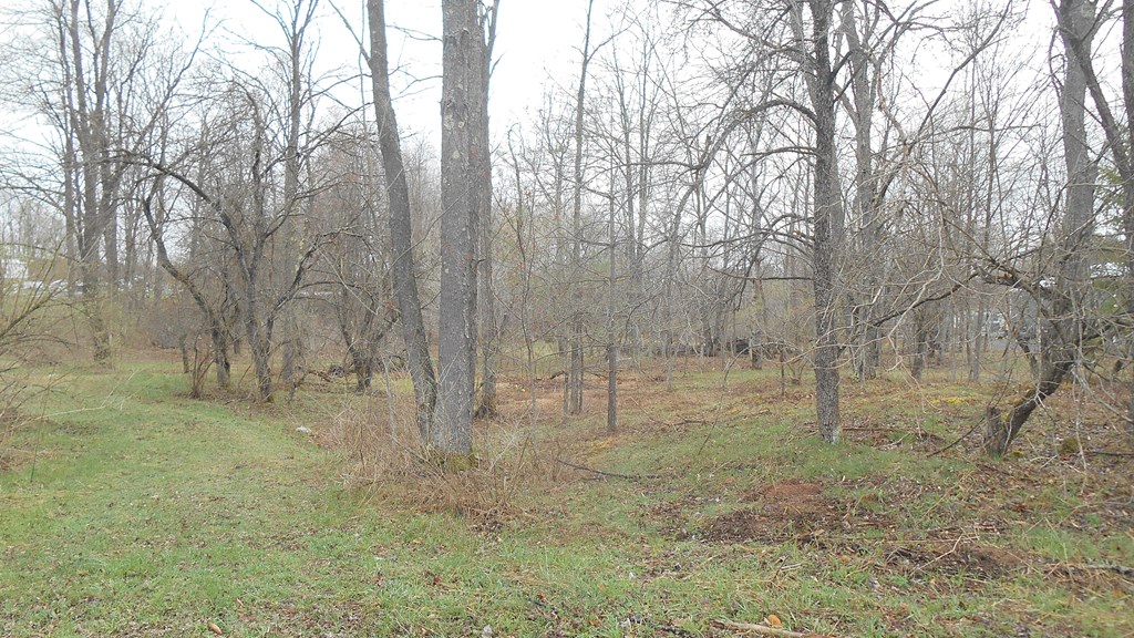 Listing view 2