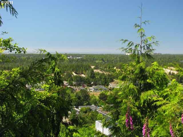 Listing view 2