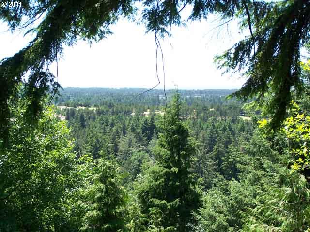 Listing view 3