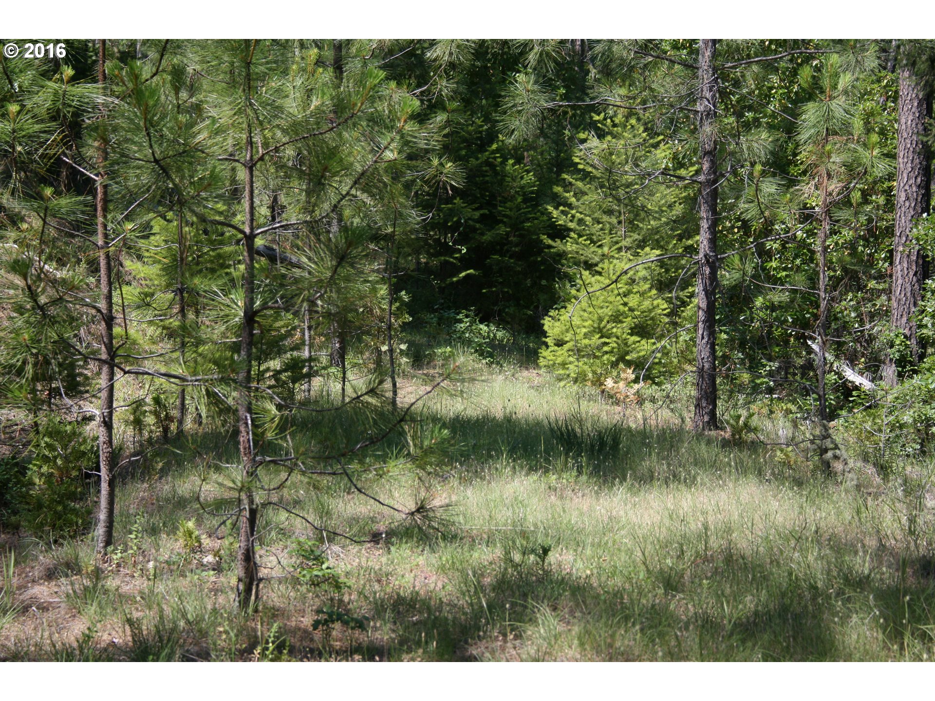 Listing view 2