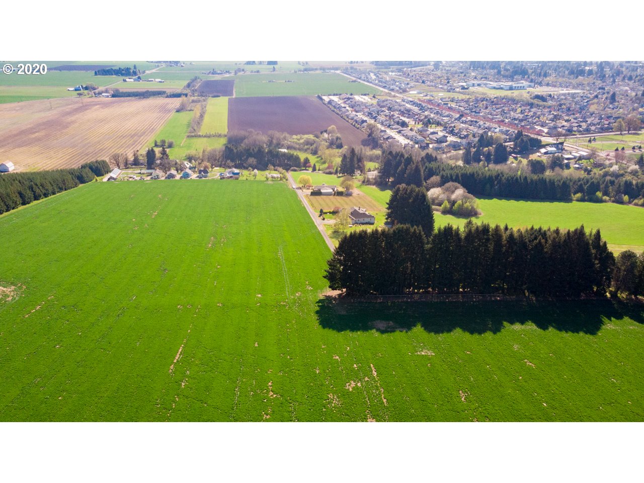 Listing view 3