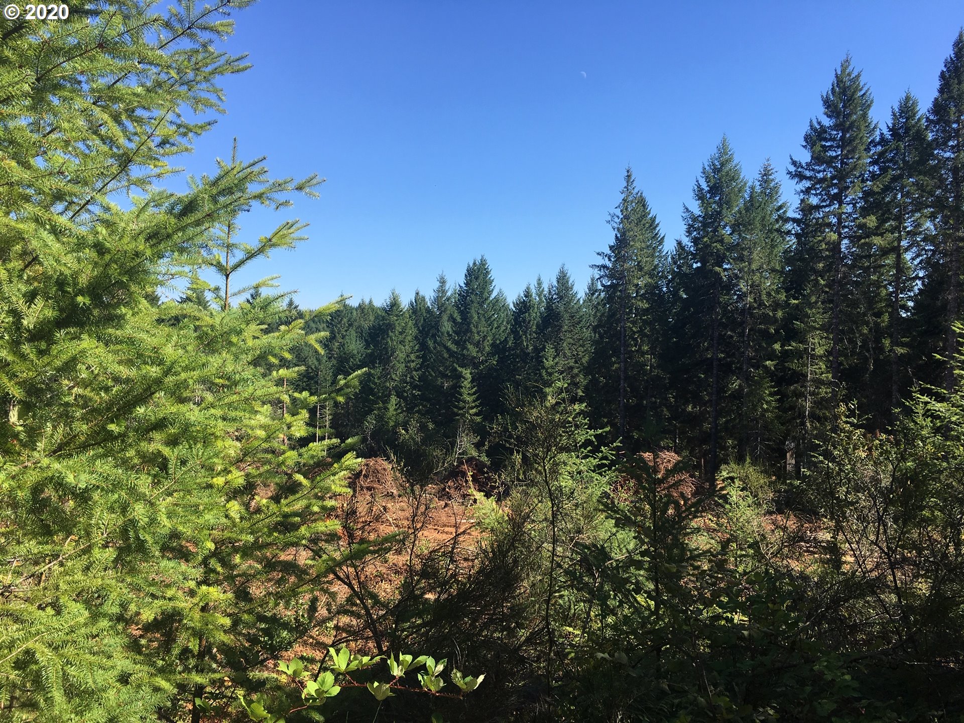 Listing view 3