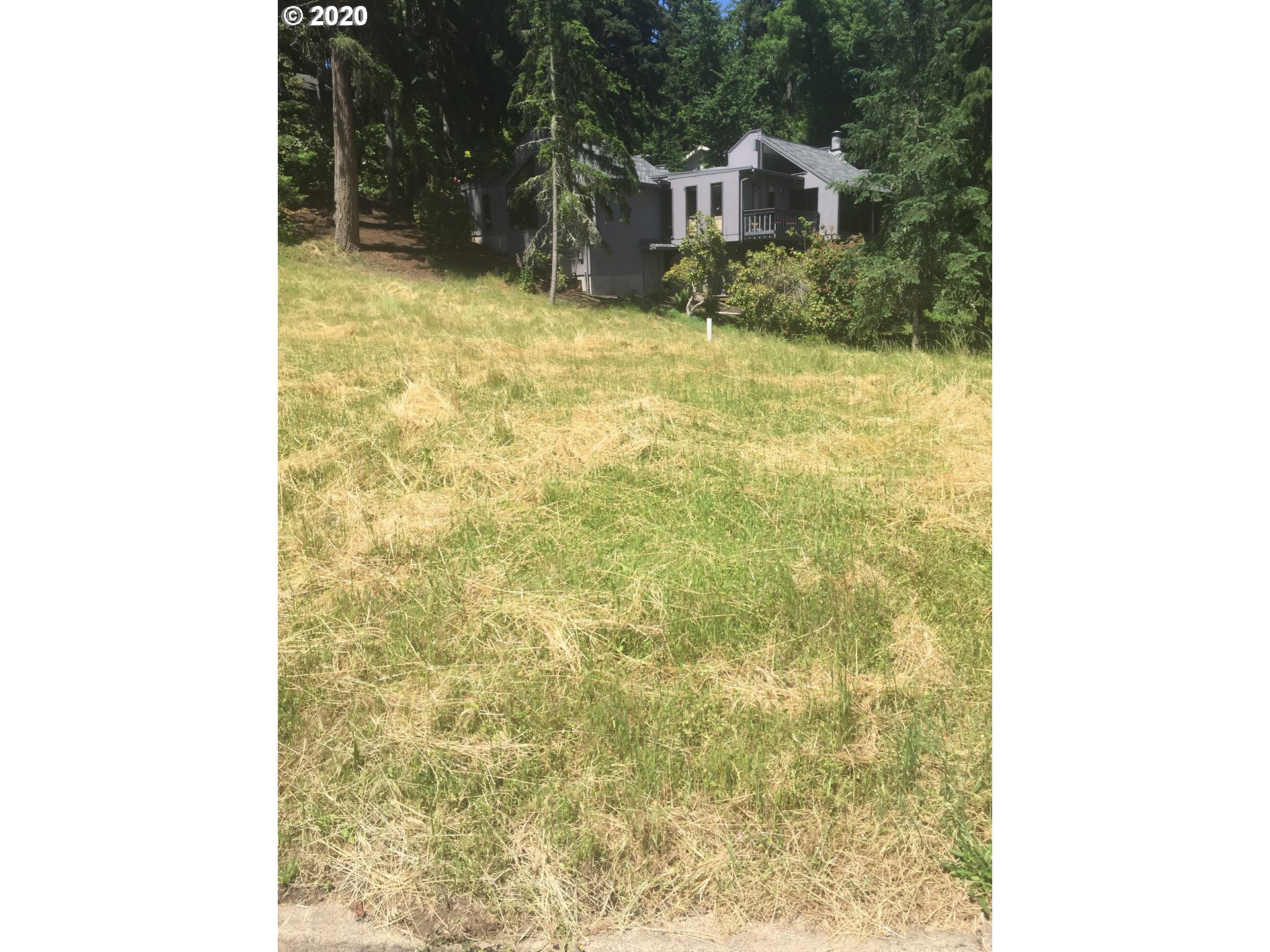 Listing view 2